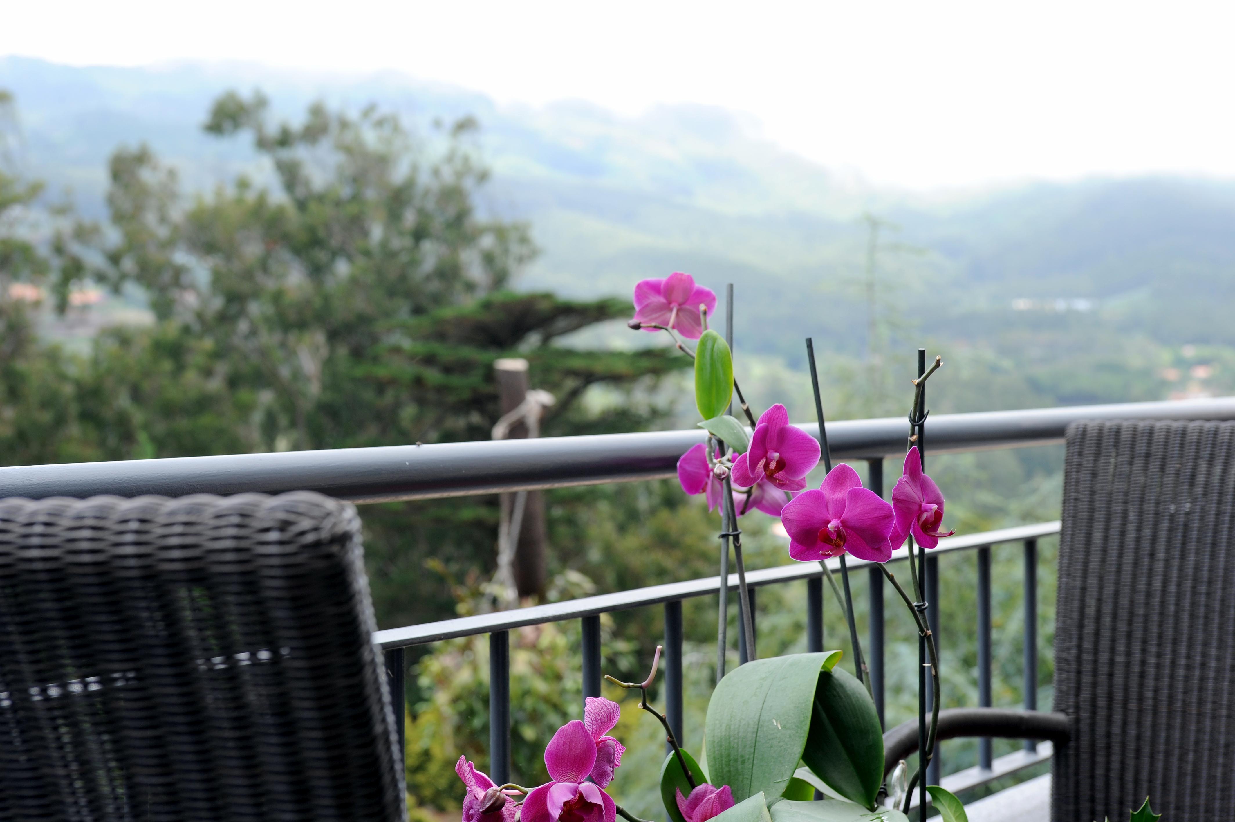 Quinta Da Cova Do Milho Hotell Santo Antonio da Serra Exteriör bild