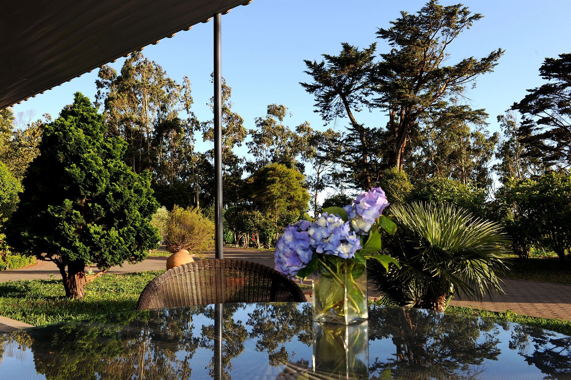 Quinta Da Cova Do Milho Hotell Santo Antonio da Serra Exteriör bild